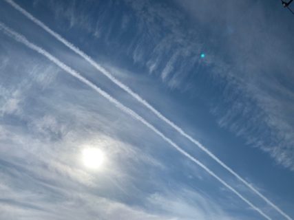 青空とオランジェット🍊