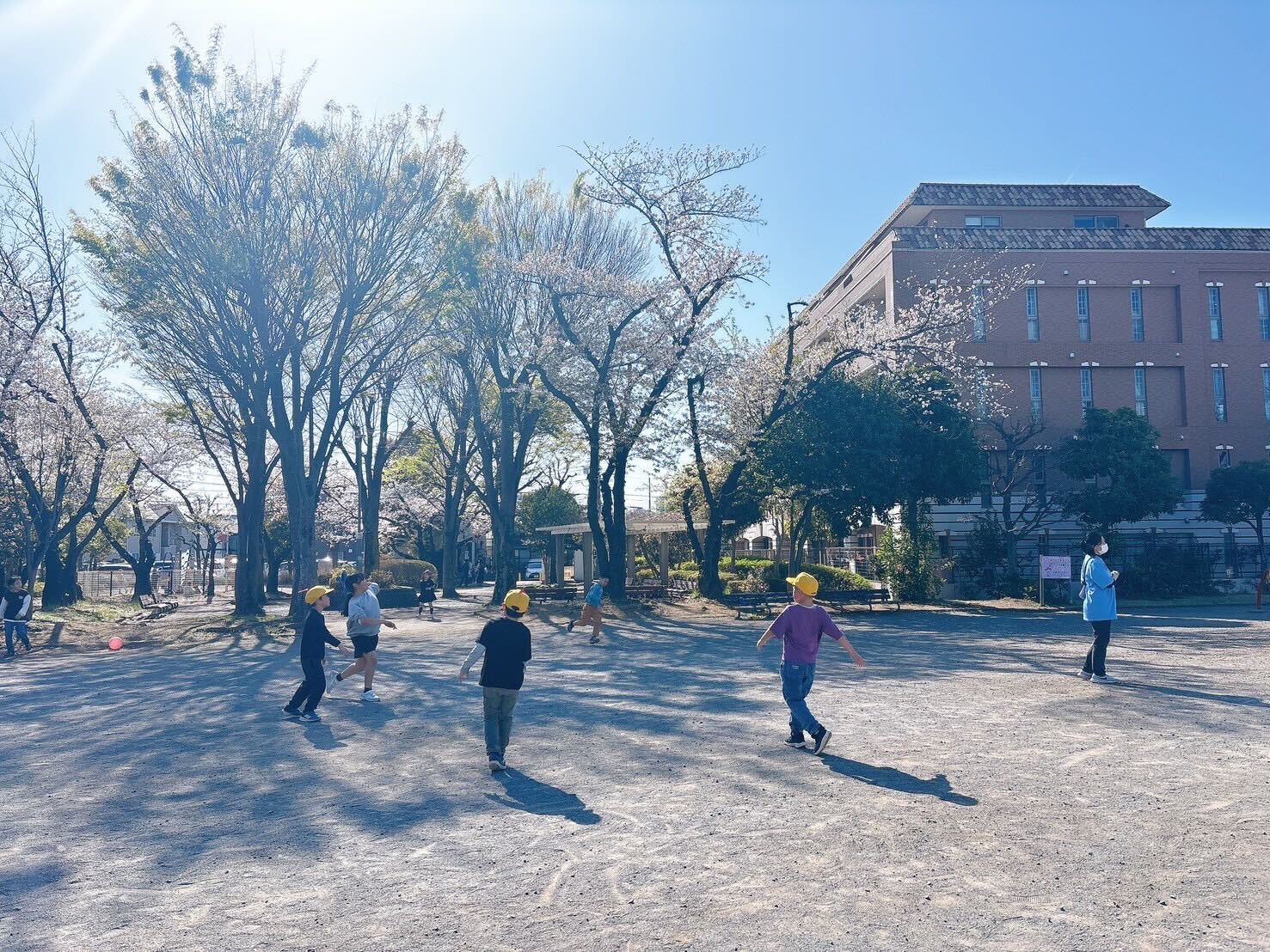 桜の季節がやってきた🌸@forest