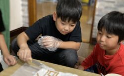 さよなら、私たちの青屋根。＠kukuna