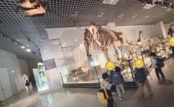 ハイクで国立科学博物館に行ってきた！！＠noa