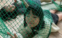 日常集📸＠tida