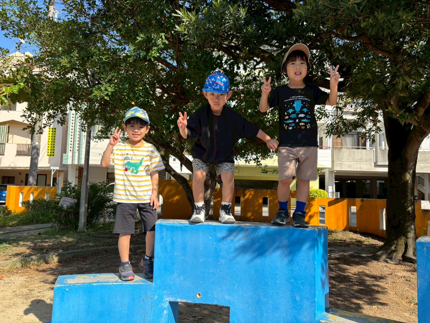 新しい仲間が増えました😁@laputa