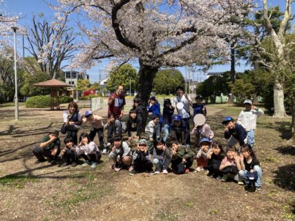 お花見にいこう🌸＠forest